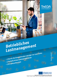 Fachinformation, Faktenblatt zu dem Thema Betriebliches Lastmanagement